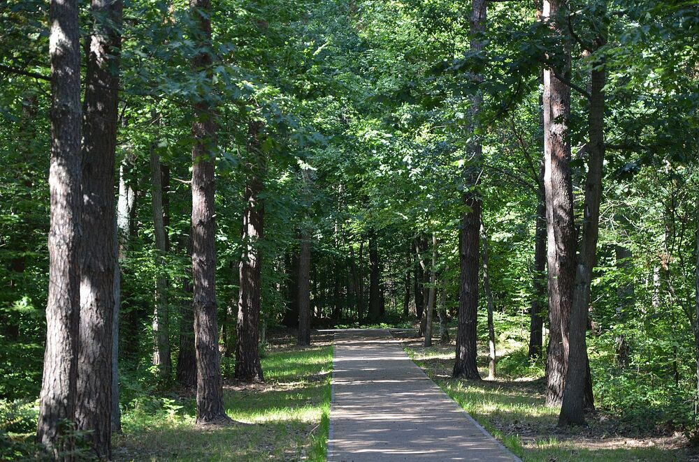 W Niepołomicach uczczono pamięć Żydów – ofiar niemieckiej Akcji Reinhardt. Fot. Janusz Ślęzak (IPN)