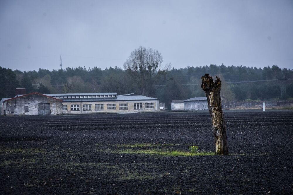 Wyprawa do Ravensbrück i Sachsenhausen. Fot. Agnieszka Masłowska (IPN)