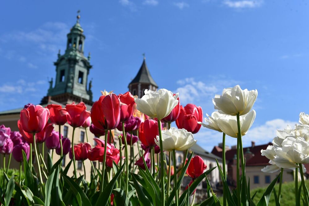 88. rocznica śmierci Józefa Piłsudskiego. Fot. Janusz Ślęzak (IPN)