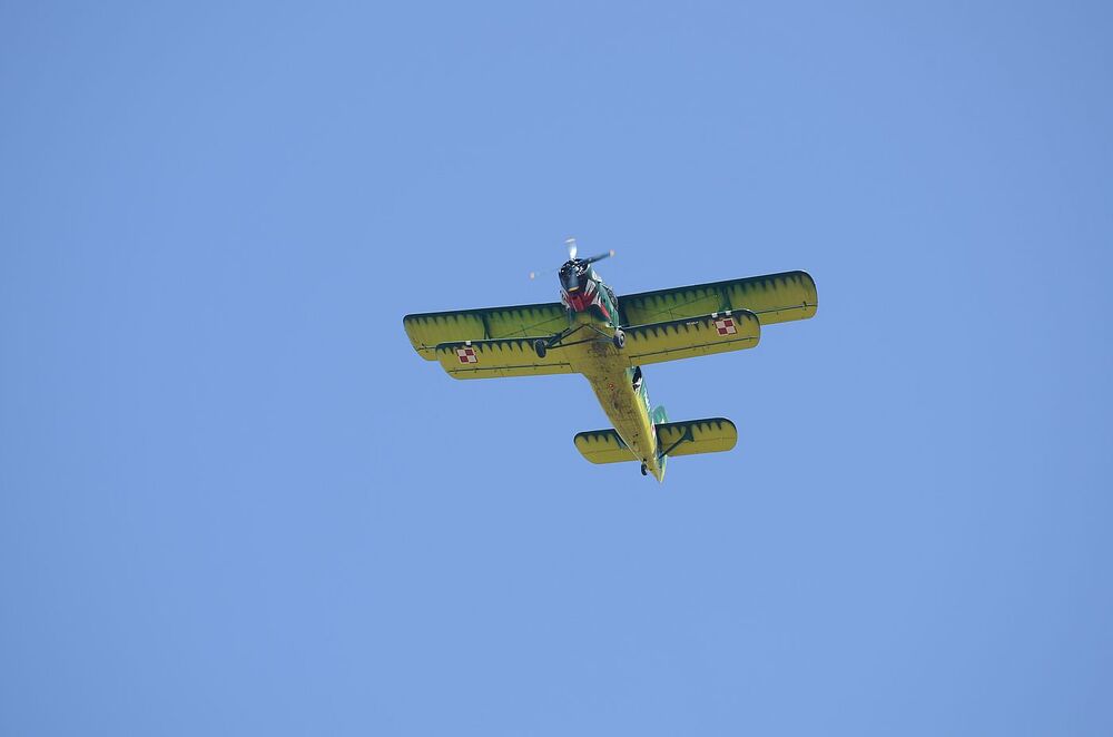 W Wierzbnie złożono hołd gen. Okulickiemu i cichociemnym. Fot. Janusz Ślęzak (IPN)