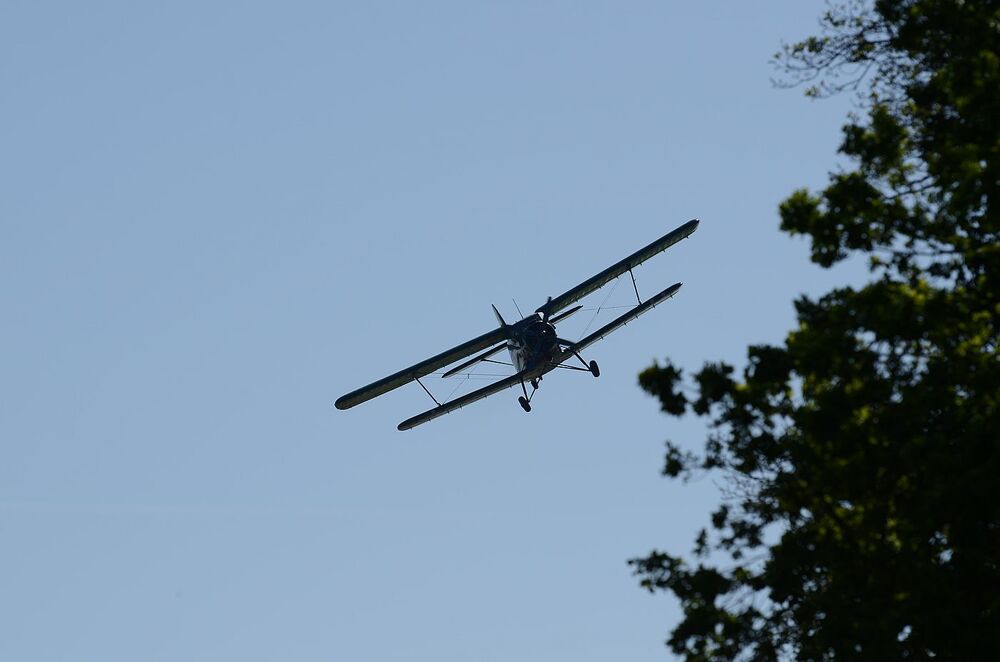 W Wierzbnie złożono hołd gen. Okulickiemu i cichociemnym. Fot. Janusz Ślęzak (IPN)