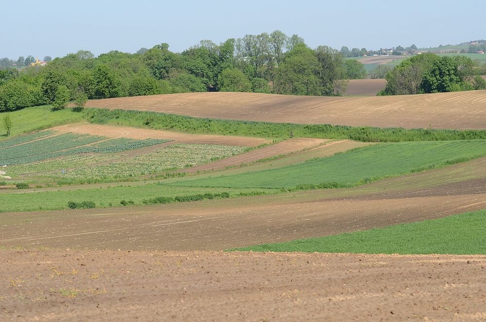 W Wierzbnie złożono hołd gen. Okulickiemu i cichociemnym. Fot. Janusz Ślęzak (IPN)
