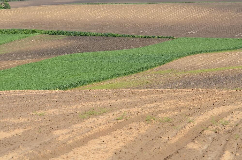 W Wierzbnie złożono hołd gen. Okulickiemu i cichociemnym. Fot. Janusz Ślęzak (IPN)