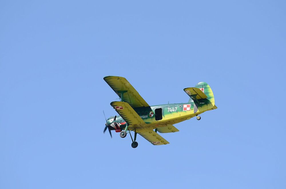 W Wierzbnie złożono hołd gen. Okulickiemu i cichociemnym. Fot. Janusz Ślęzak (IPN)
