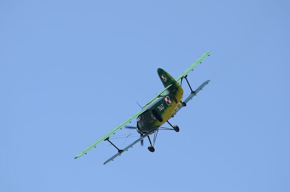 W Wierzbnie złożono hołd gen. Okulickiemu i cichociemnym. Fot. Janusz Ślęzak (IPN)