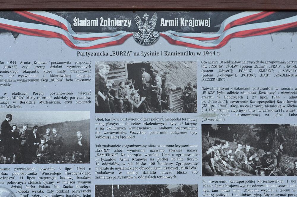 XII nocny marsz śladami gen. Nila. Fot. Janusz Ślęzak (IPN)