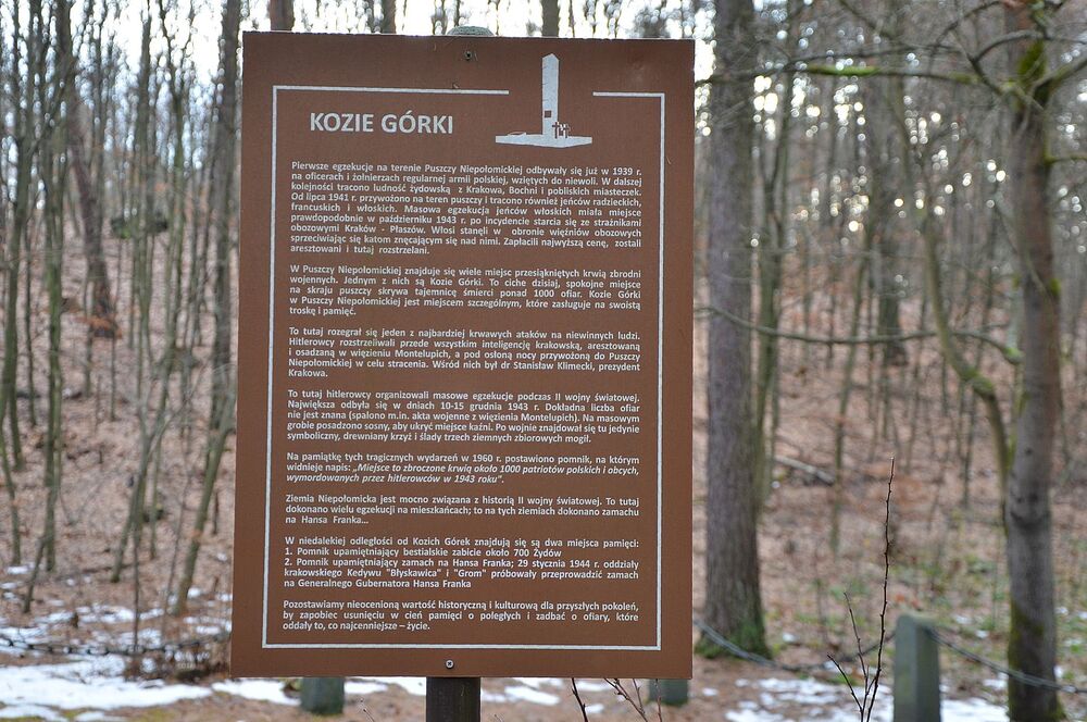 Kozie Górki w Puszczy Niepołomickiej. Fot. Janusz Ślęzak (IPN)