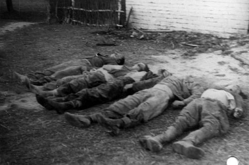 zabici partyzanci oddziału Kopaczewskiego &quot;Lwa&quot; w dniu 8.09.1946 r. przez grupę operacyjną UB