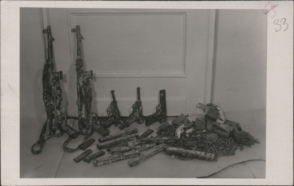 por. Jan Rodowicz „Anoda